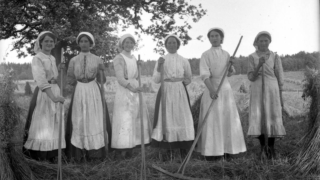 Arbetet var tydligt uppdelat. Männen slog med lie och kvinnorna räfsade. Foto: Sven Bremsjö/Västergötlands museum