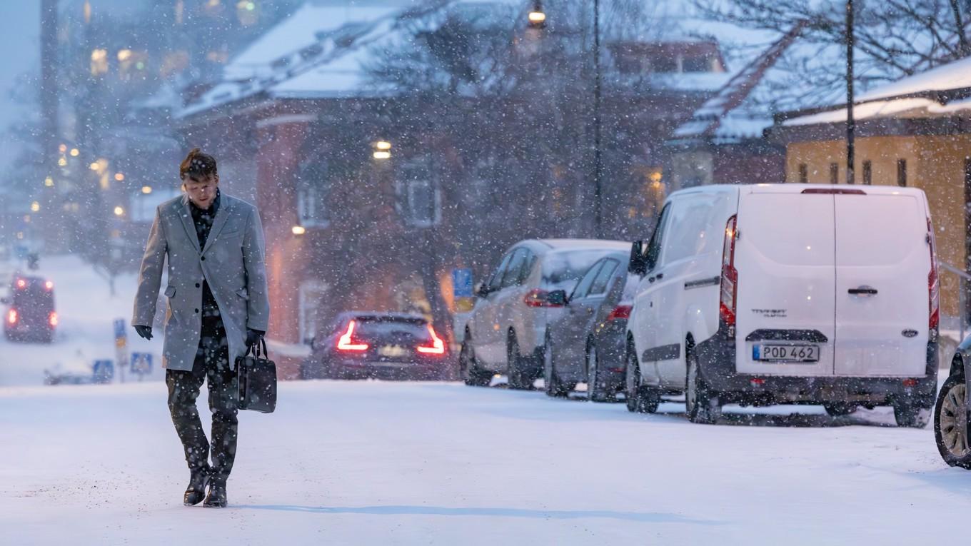 Kåsören aktar sig noga för att vara en stugpilt. Foto: Shutterstock