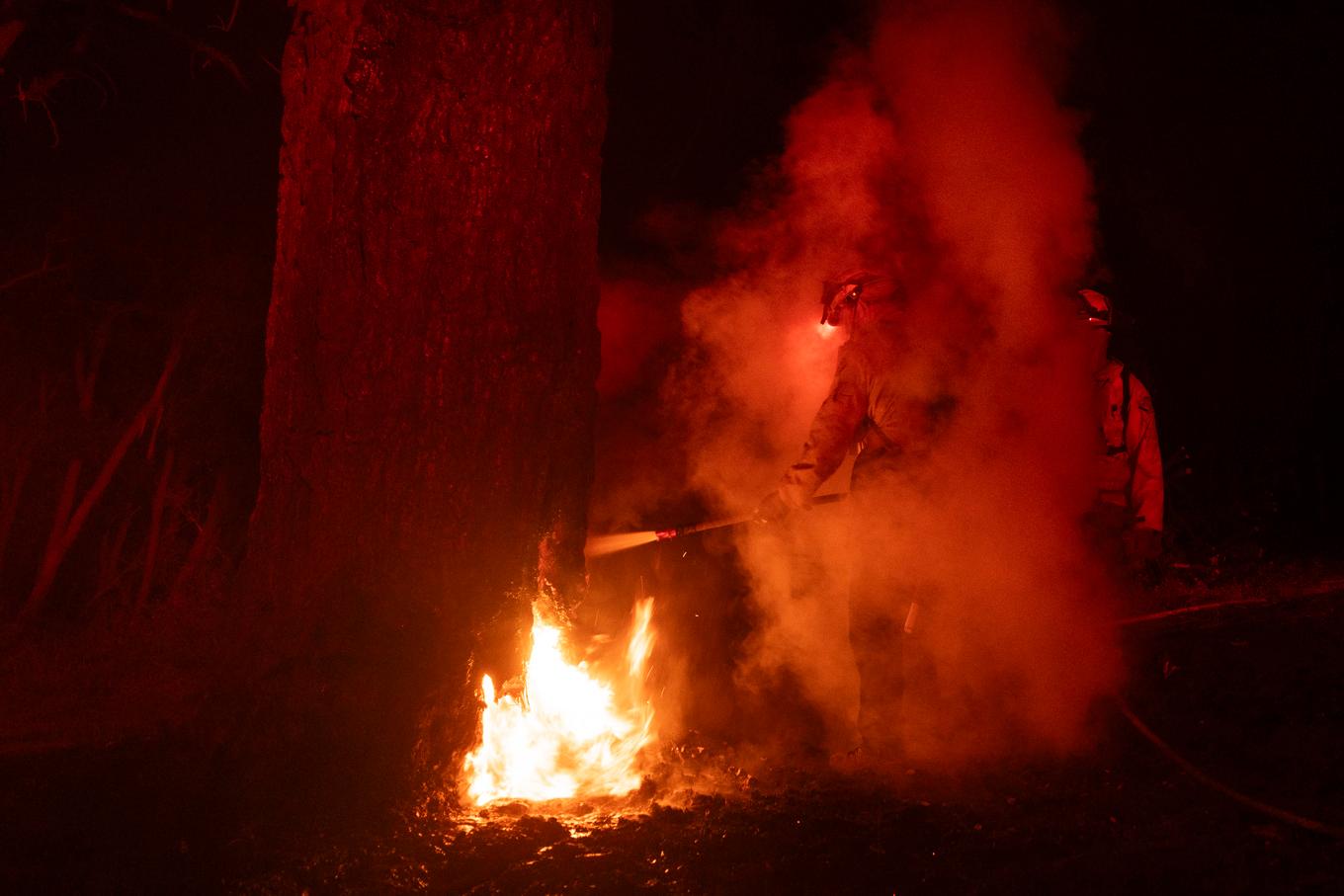 Flera bränder rasar i Kalifornien. En man har gripits för att ha startat en av dem. Foto: Etienne Laurent/AP/TT