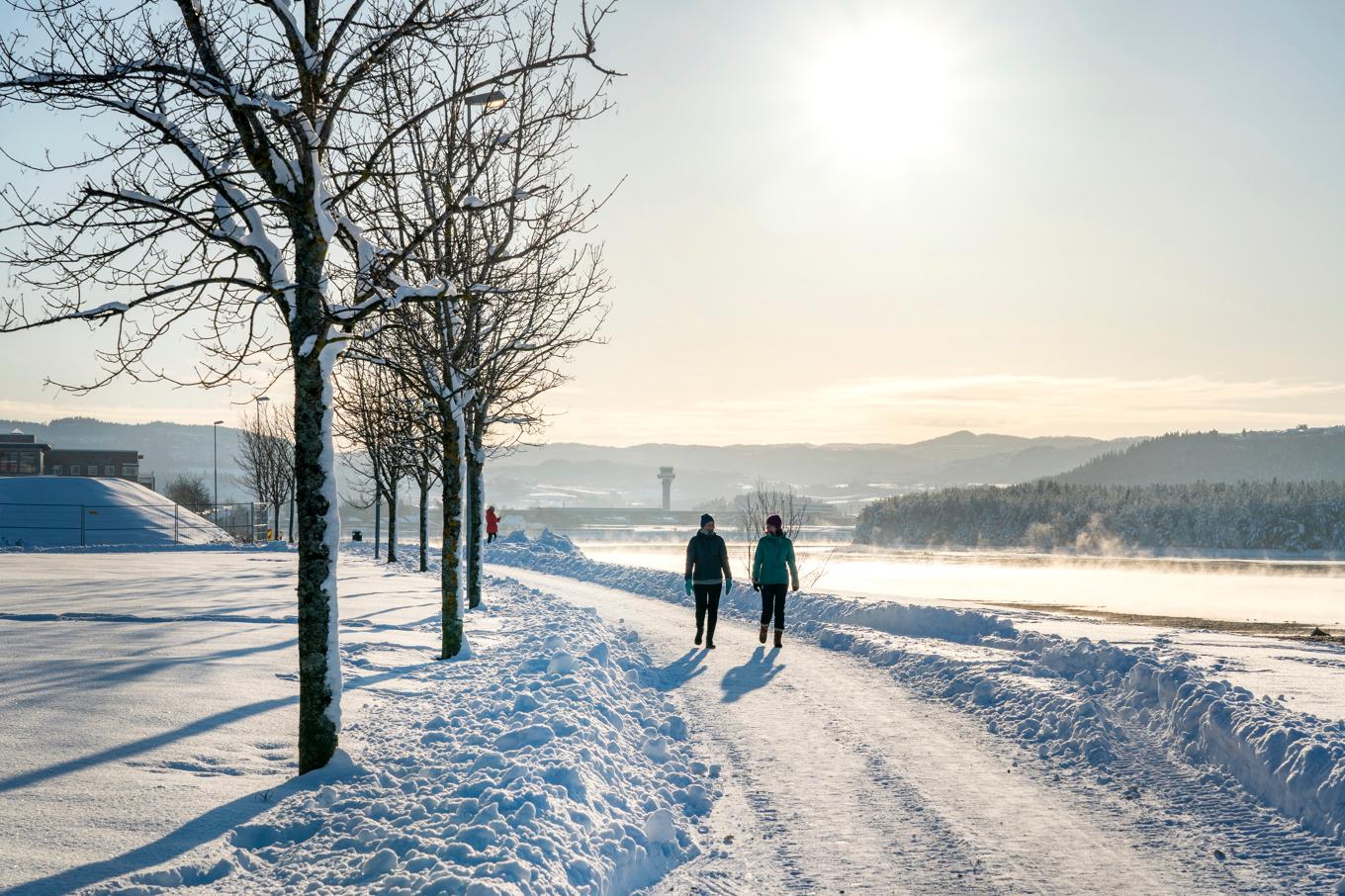 Att ge sig ut på promenad tycks ge fördelar för både kropp och knopp. Arkivbild. Foto: Gorm Kallestad/NTB/TT