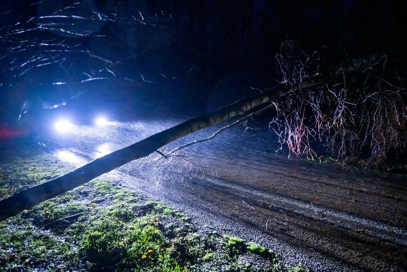 Räddningstjänsten kämpar för att röja undan träd som fallit över vägarna. Arkivbild. Foto: Johan Nilsson / TT