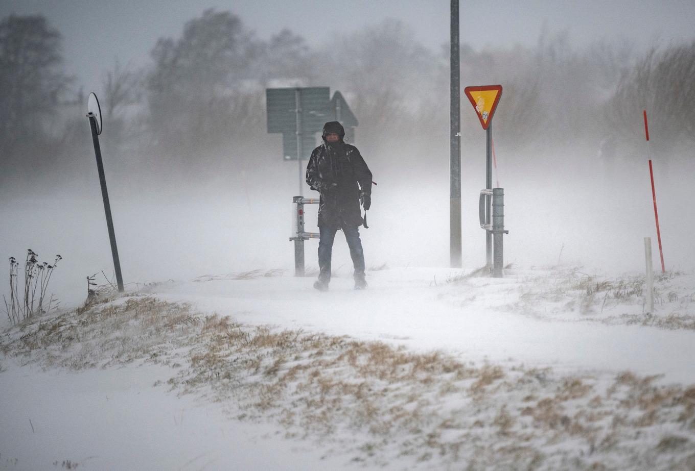 Hårt väder i norra Sverige har orsakat många strömavbrott. Arkivbild. Foto: Johan Nilsson/TT