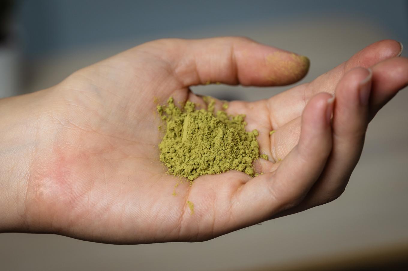 Kratom växer i Sydostasien och importeras allt mer till Sverige. Nu vill Folkhälsomyndigheten narkotikaklassa växtdrogen. Arkivbild. Foto: Magnus Lejhall/TT