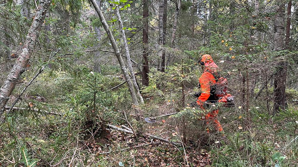 Torsboda Industrial Park drivs av Timrå tillsammans med Sundsvalls och Härnösands kommuner. Slutkostnaden för industriområdet, där PTL var tänkt som den primära etableringen, väntas gå på över 700 miljoner kronor. Foto: Torsboda Industrial Park