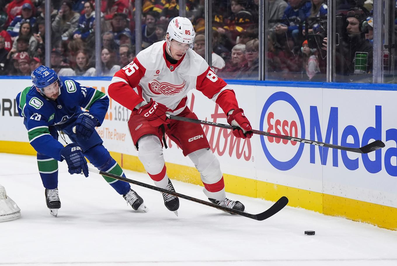 Vancouvers Marcus Pettersson, till vänster, i en match mot Detroit den 2 februari. Arkivbild. Foto: DARRYL DYCK/AP/TT