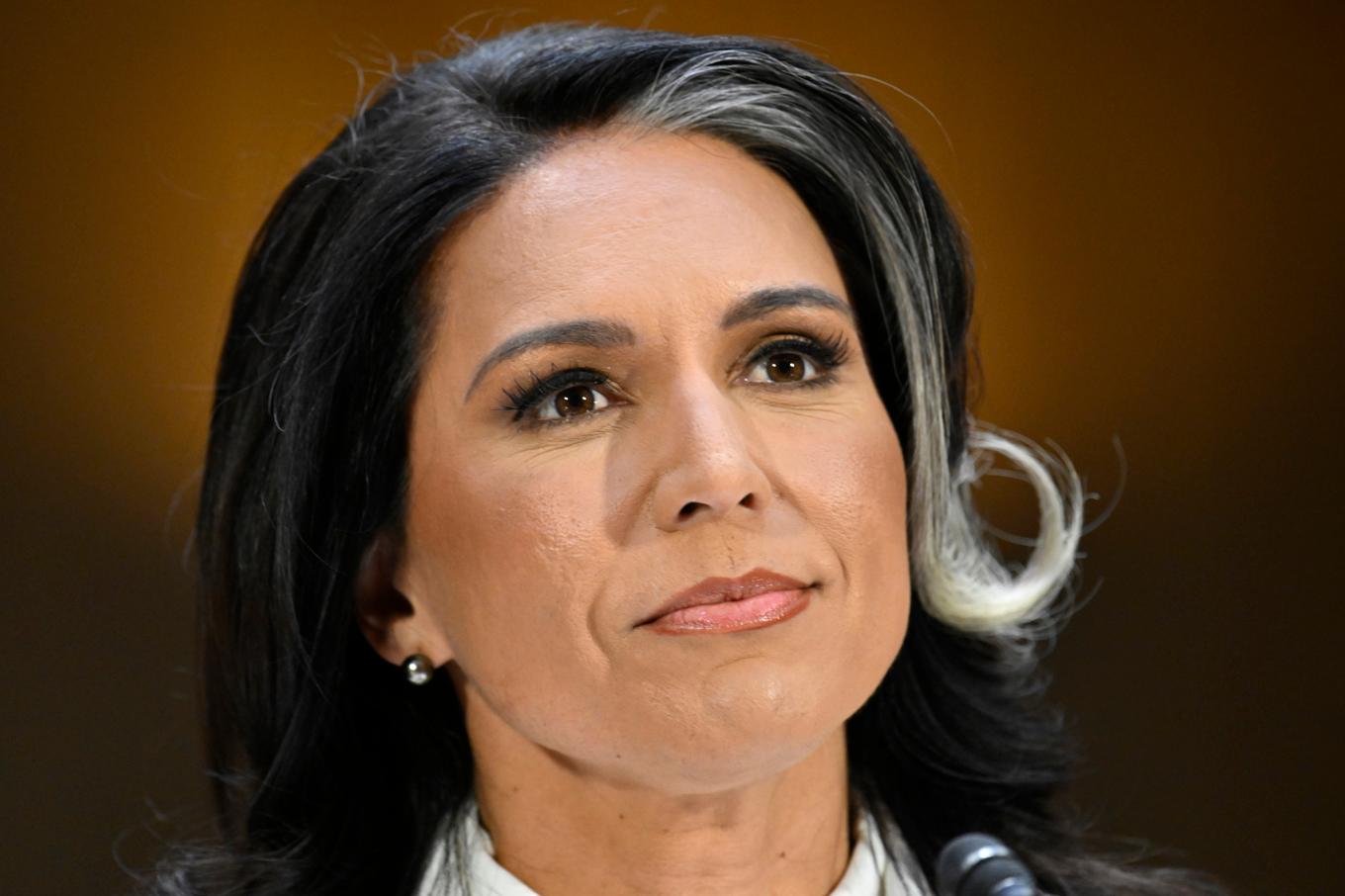 Tulsi Gabbard under utskottsförhören. Foto: John McDonnell/AP/TT