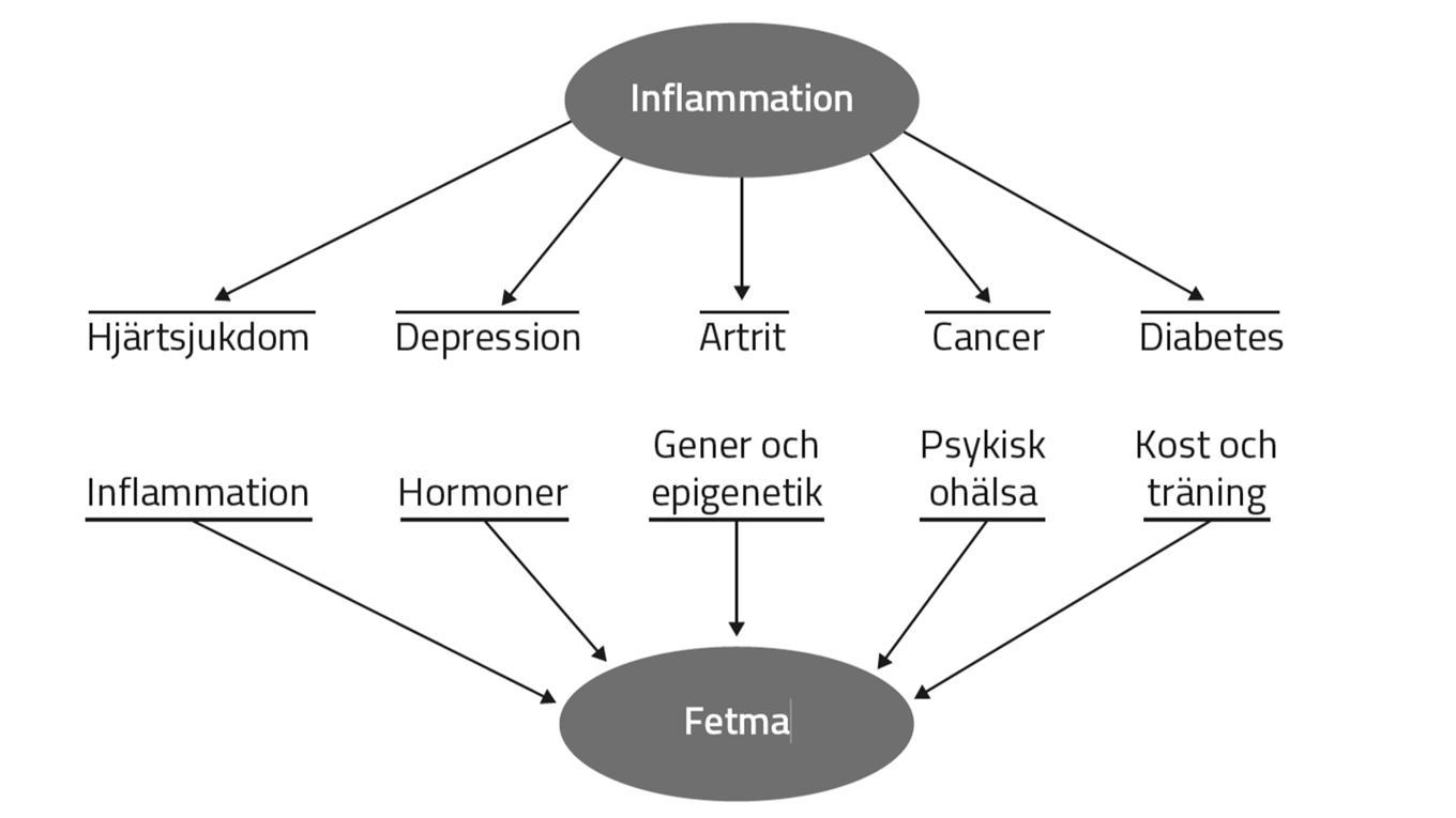 En bärande tanke inom funktionsmedicin är att samma symtom kan ha många olika orsaker. Oftast är de livsstilsrelaterade och kan alltså behandlas med livsstilsförändringar. Illustrationer ur nyutkomna antologin ”Integrativ hälso-sjukvård: Perspektiv, mångfald och en vidgad horisont” på Liber förlag, 2025