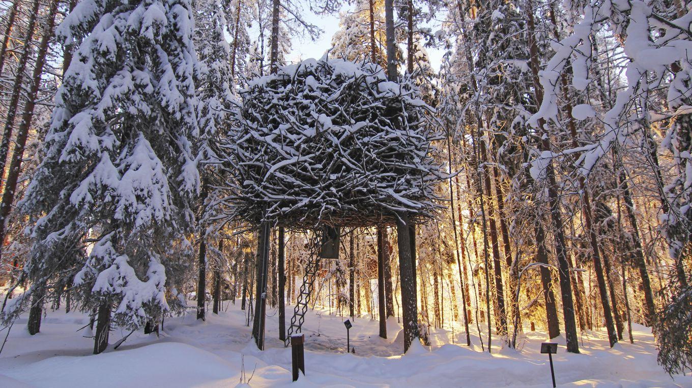 Treehotel i norra Sverige erbjuder en oförglömlig upplevelse för den som söker äventyr och avkoppling i en extraordinär miljö. Foto: Treehotel