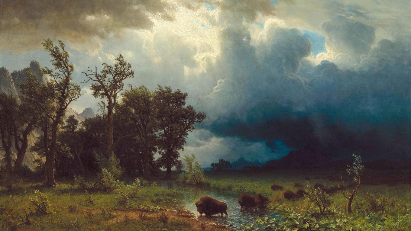 ”Buffalo Trail, The Impending Storm” av Albert Bierstadt (1869). Foto: Public Domain