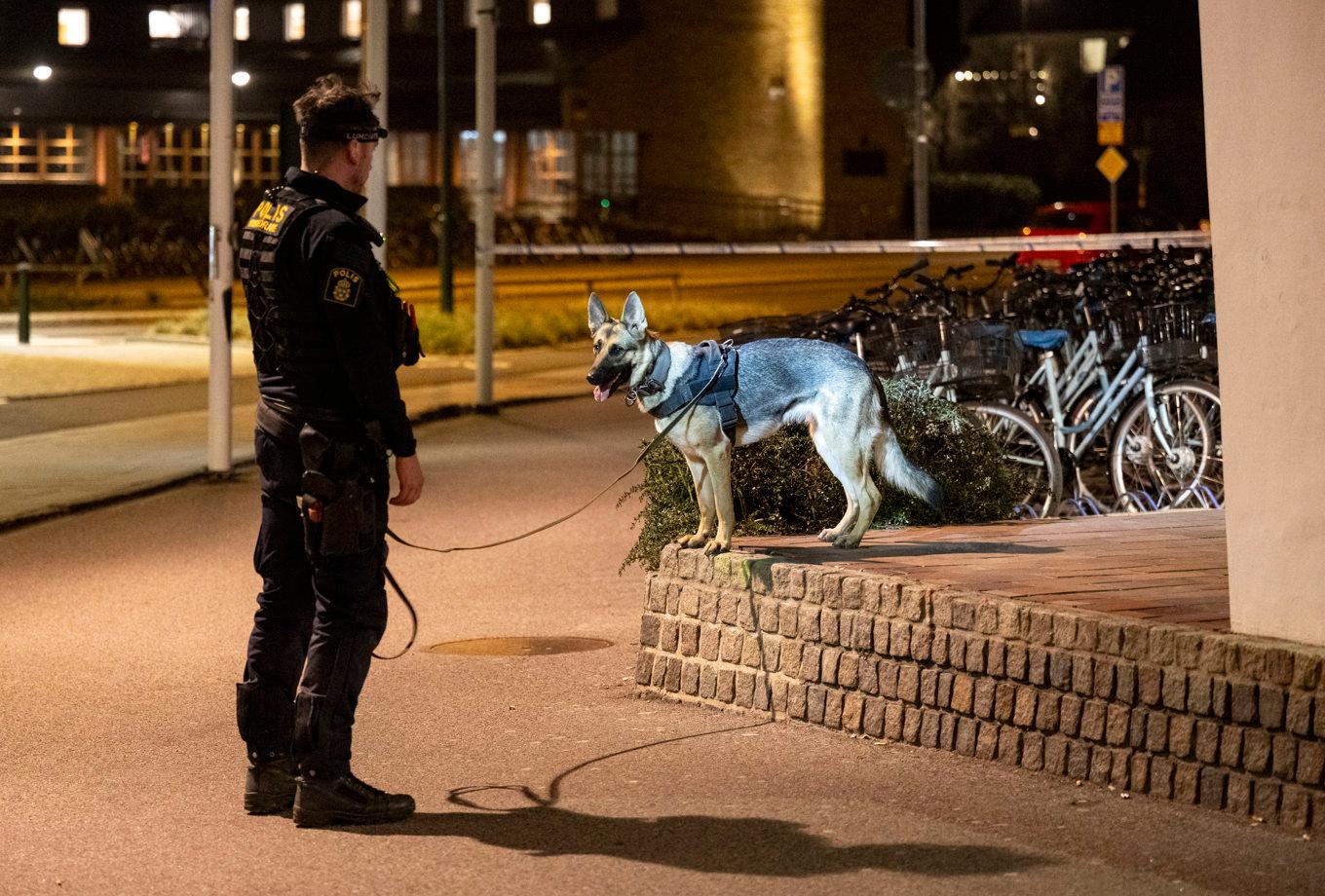 Polis på plats och söker med hund utanför en livsmedelsbutik i Malmö på fredagskvällen efter ett misstänkt mordförsök. Foto: Johan Nilsson/TT