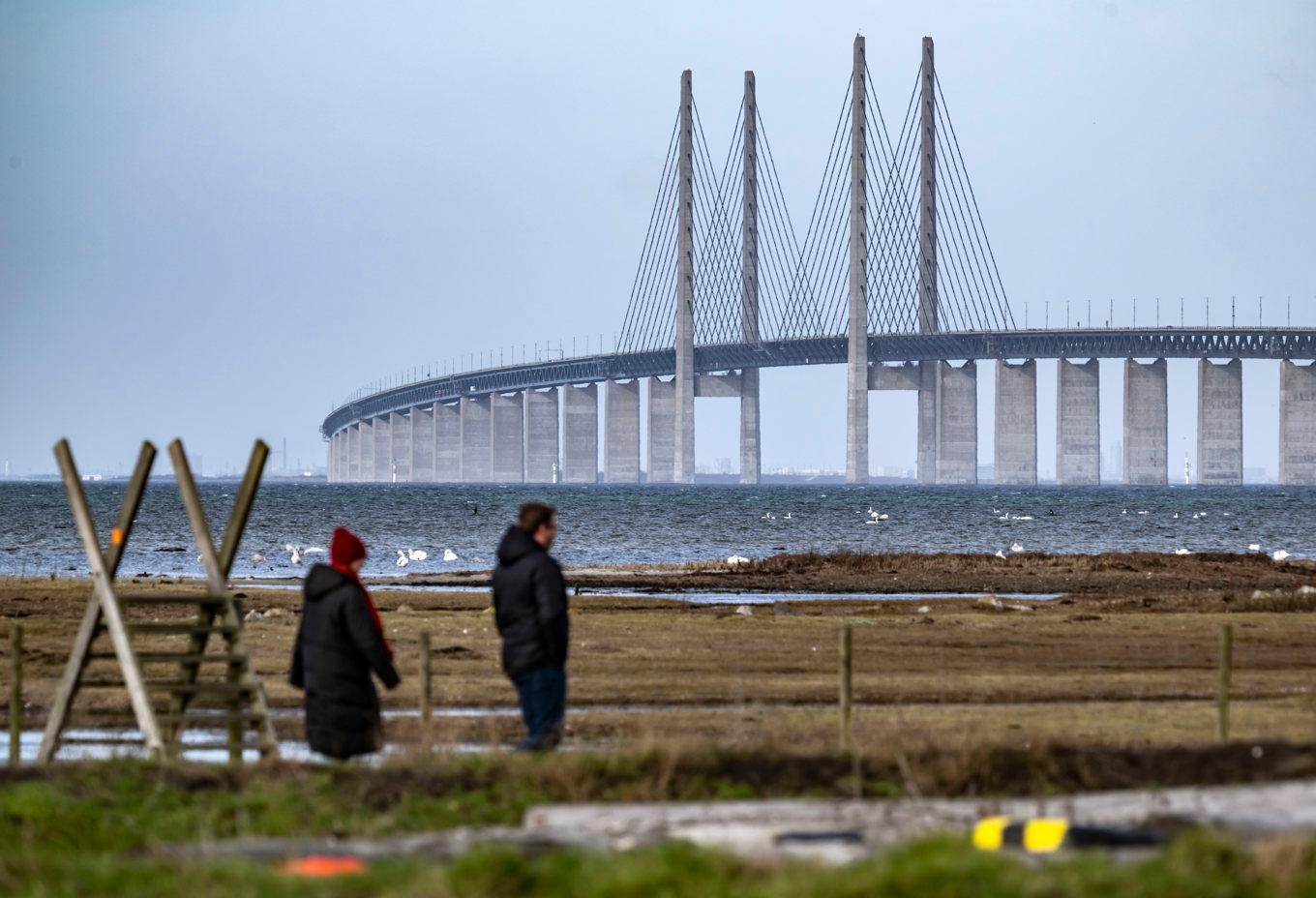 Öresundsbron stängdes av i båda riktningarna efter en trafikolycka. Arkivbild. Foto: Johan Nilsson/TT