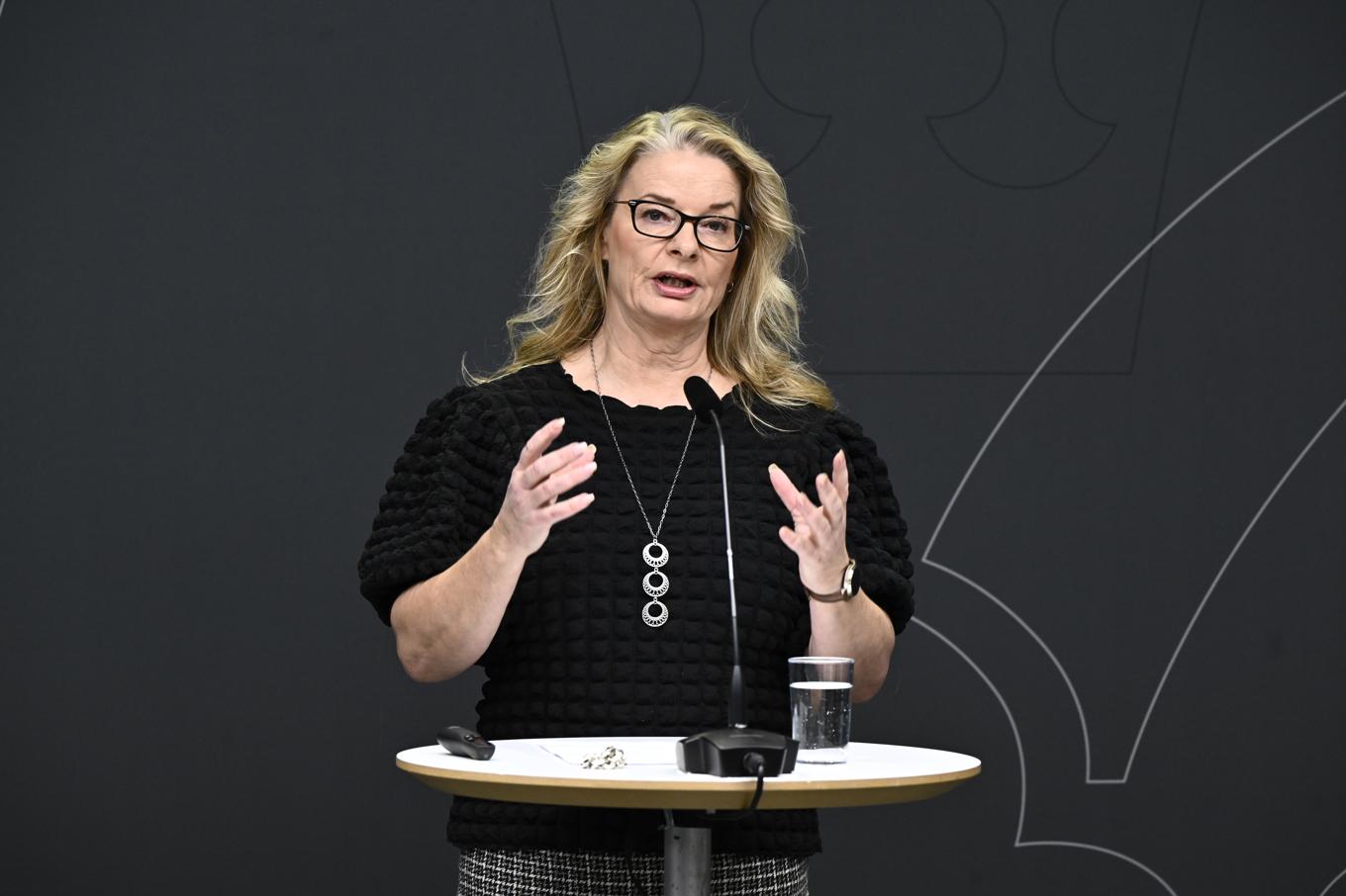 "Skolministern måste agera", enligt debattörer som ser det som nödvändigt att stoppa Skolverkets nuvarande digitala nationella prov. Arkivbild. Foto: Christine Olsson/TT