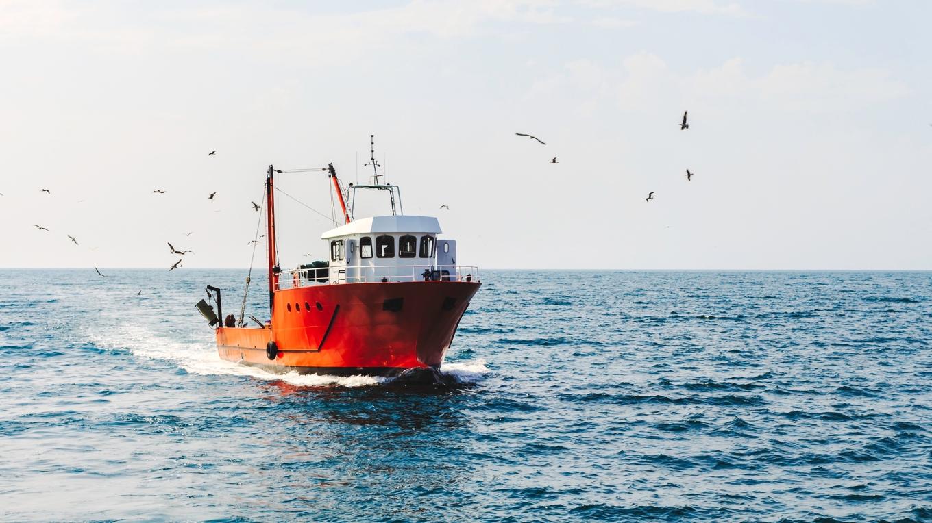 I regeringens proposition (2024/25:81) föreslås ett förbud mot bottentrålning i marina skyddade områden. Foto: Eugene Deshko/Shutterstock