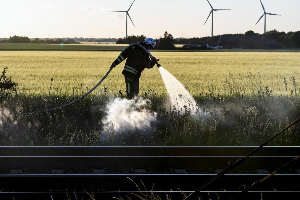 
SMHI har utfärdat varning för gräsbränder i stora delar av södra Sverige. Foto: Johan Nilsson/TT-arkivbild                                            