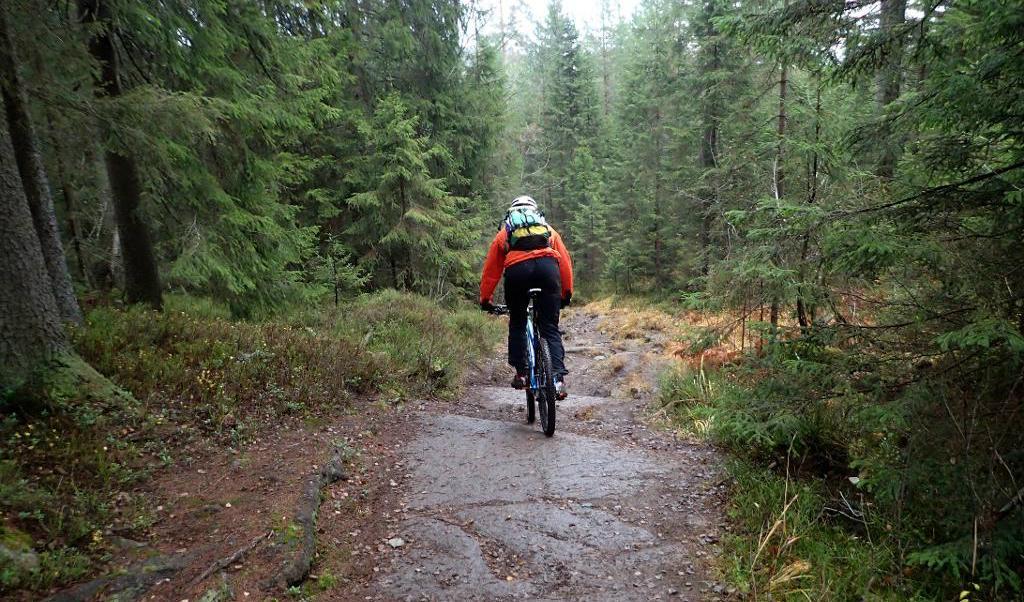 
Cyklister i skogen på Lugnets märkta cykelleder ska i fortsättningen betala för sig. Bilden visar en cyklist i Lillomarka i Oslo. Foto: Vidar Ruud/NTB Scanpix/TT-arkivbild                                            