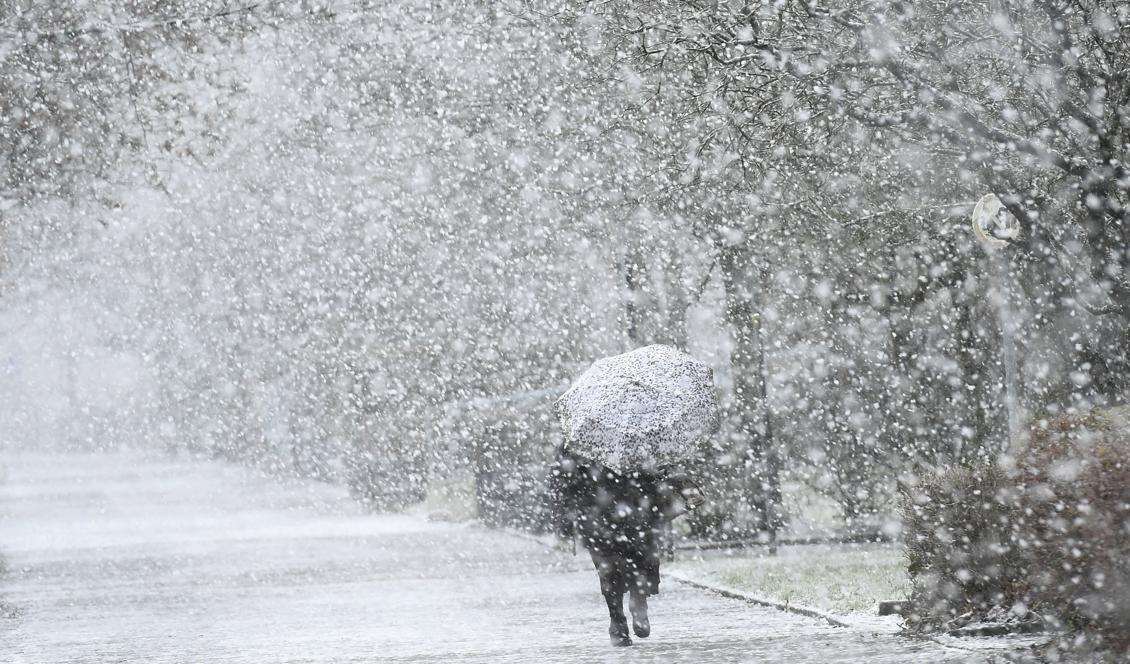 Snön drar vidare från Götaland. Foto: Holger Hollemann/AP-arkivbild