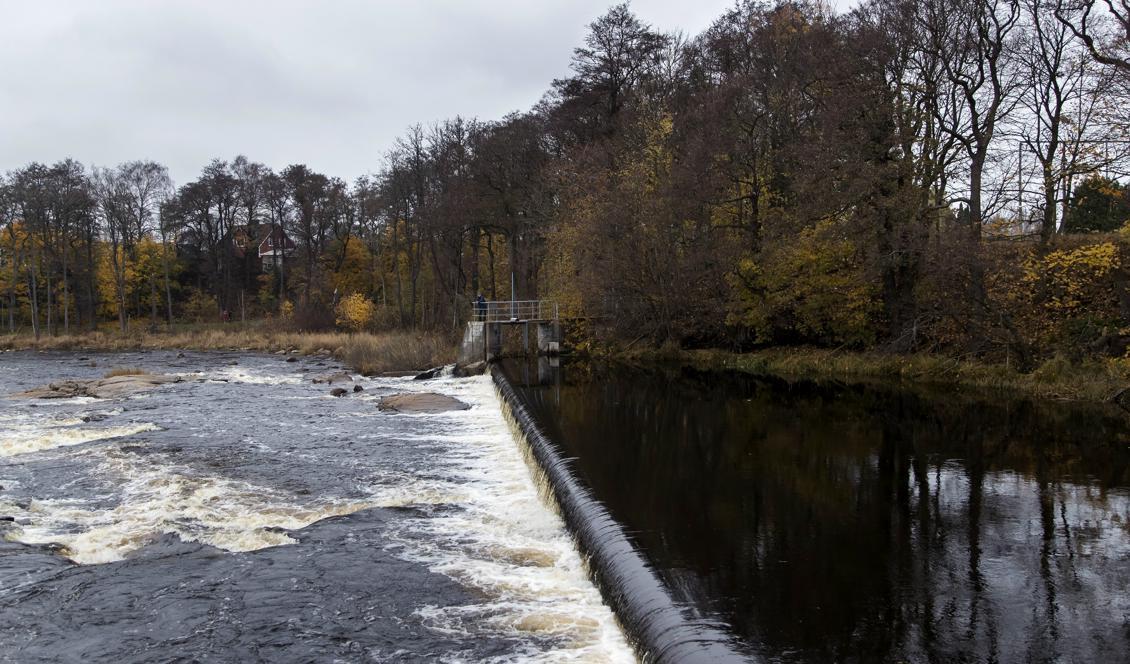 
En död person har hittats i Falkenberg. Polisen tror att det är den tolvårige pojke som varit försvunnen i tre dygn. Foto: Thomas Johansson/TT                                            