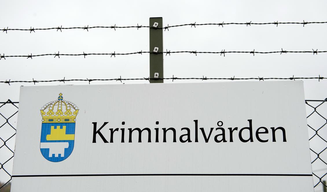 Kriminalvården bygger ut på 13 orter men platserna kommer inte att räcka, enligt generaldirektör Nils Öberg. Foto: Jessica Gow/TT-arkivbild