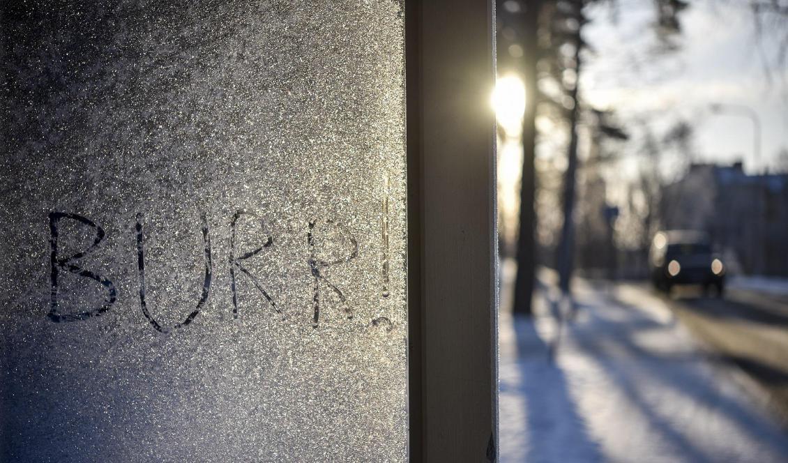 Minus 35,6 grader var det i Geilas den gångna natten. Foto: Anders Wiklund/TT-arkivbild