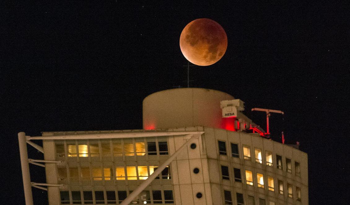 En superblodmåne svävande över Turning Torso i Malmö i september 2015. Foto: Johan Nilsson/TT-arkivbild