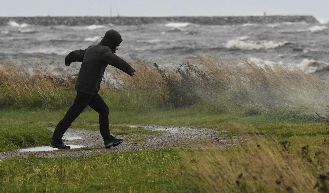 Skåne får förbereda sig på tuffa vindar idag. Foto: Johan Nilsson/TT-arkivbild