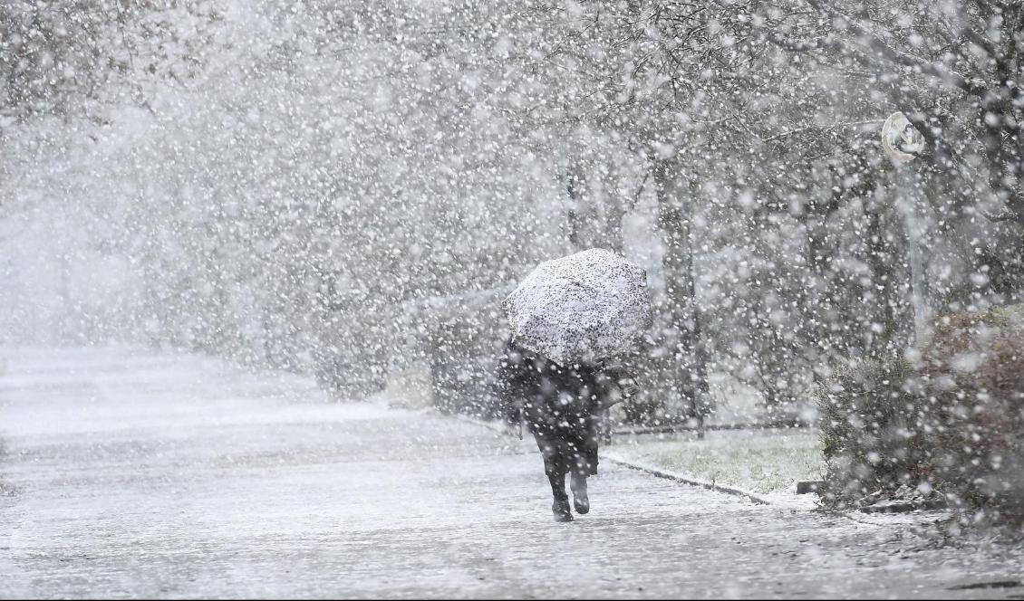 Mer snö väntas det kommande dygnet. Foto: Holger Hollemann/AP/TT-arkivbild