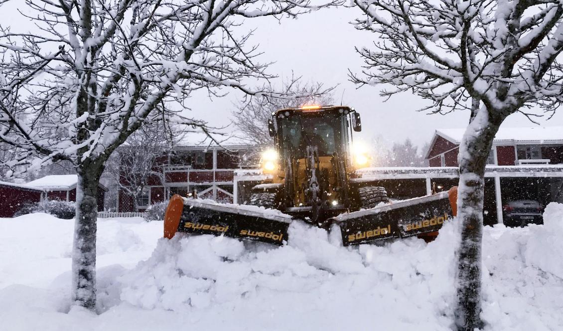 Det kan falla stora mängder snö i södra Norrland. Bilden är tagen från ett tidigare snöoväder i Bollnäs. Foto: Gustav Sjöholm/TT