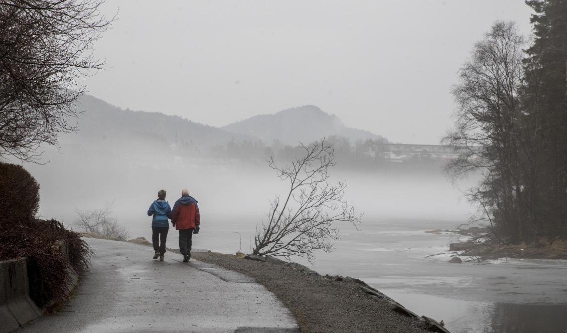 Regn, blåst och halka – det blir busväder gånger två i norr. Foto: Vidar Ruud/NTB Scanpix/TT-arkivbild