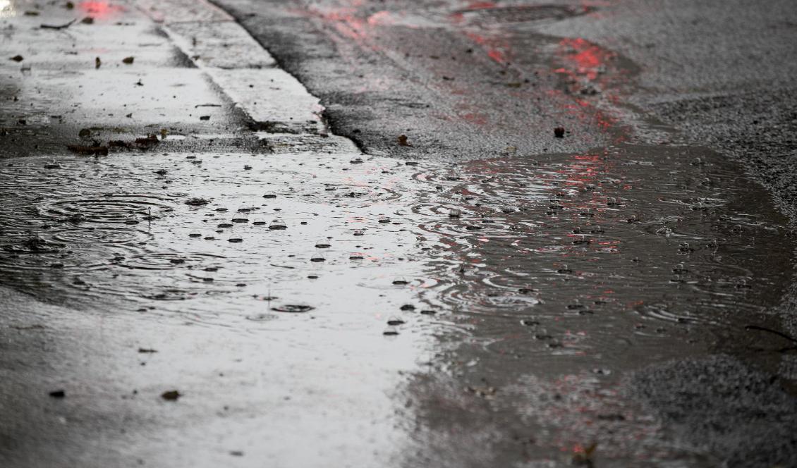 Det är en ovanligt blöt december i år. På många håll har det regnat mer än vanligt under december. Foto: Terje Pedersen/TT