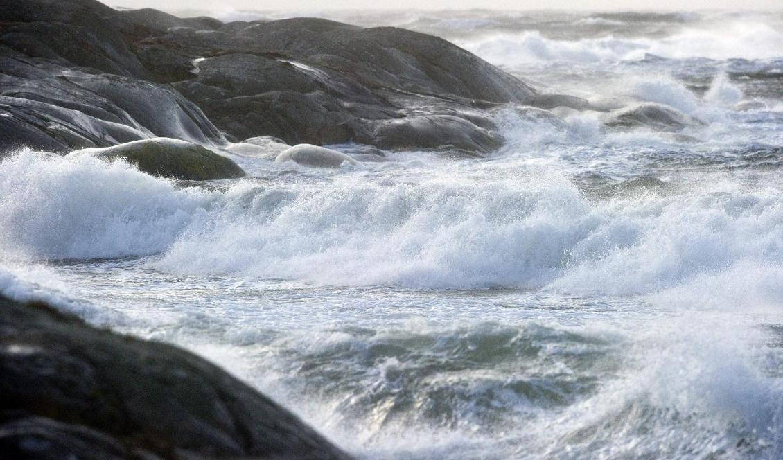 Hårda vindar, regn och snö drar in söderifrån över Sverige. Foto: Björn Larsson Rosvall-arkivbild