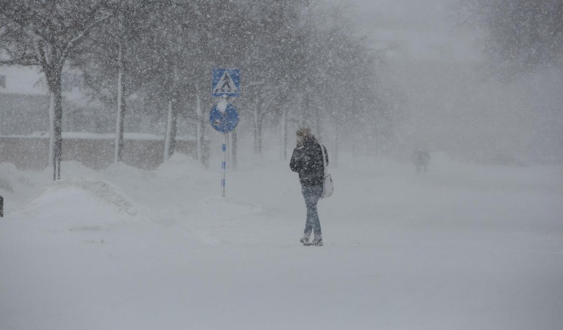 Stora mängder snö väntas falla i Dalarnas och Västernorrlands län. Foto: Martina Holmberg/TT-arkivbild