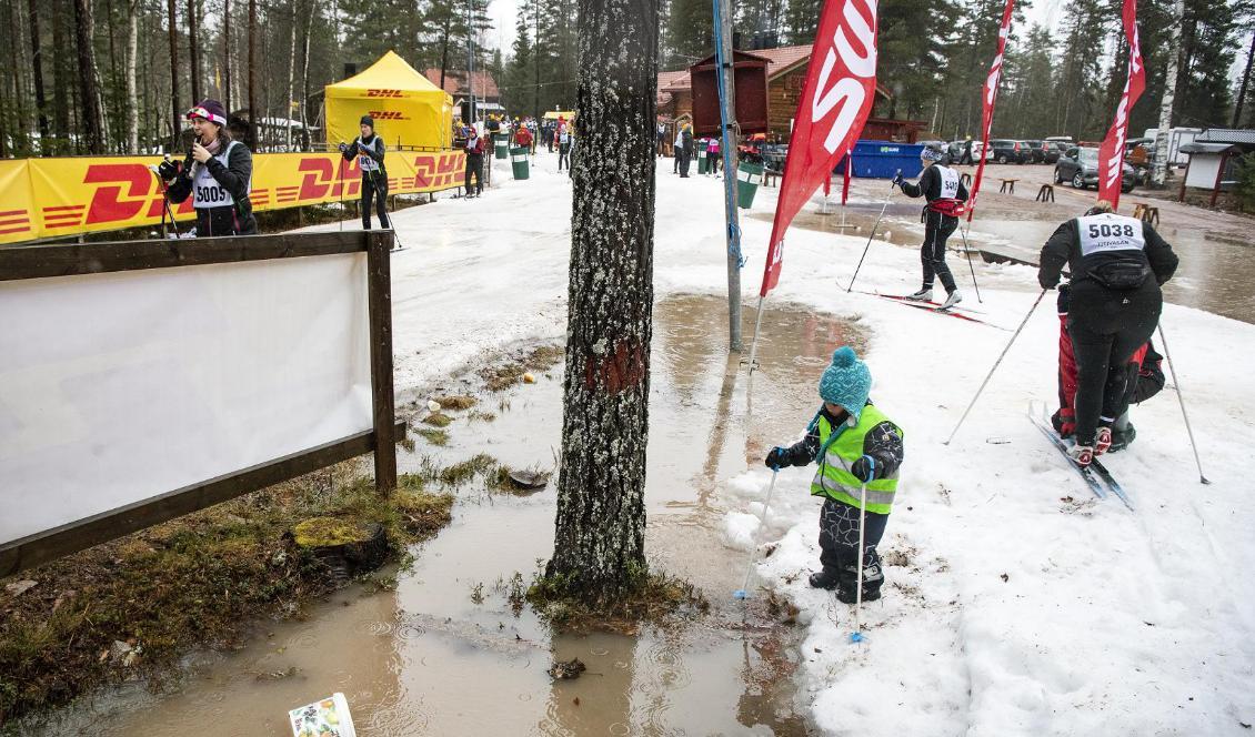 För en vecka sedan, då Tjejvasan avgjordes, var det inte mycket till snö i Vasaloppsspåren. Men i helgen väntas snön falla över åkarna. Foto: Ulf Palm/TT