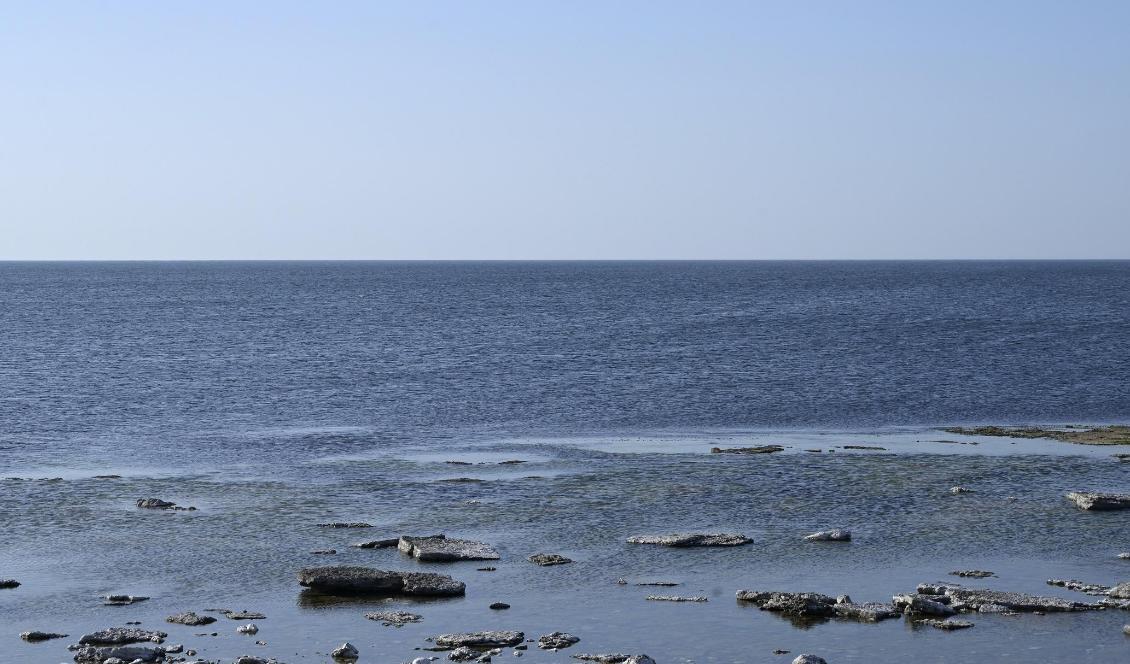 

Bottenproverna togs på olika platser utanför Gotland. Foto: Fredrik Sandberg/TT-arkivbild                                                                                                