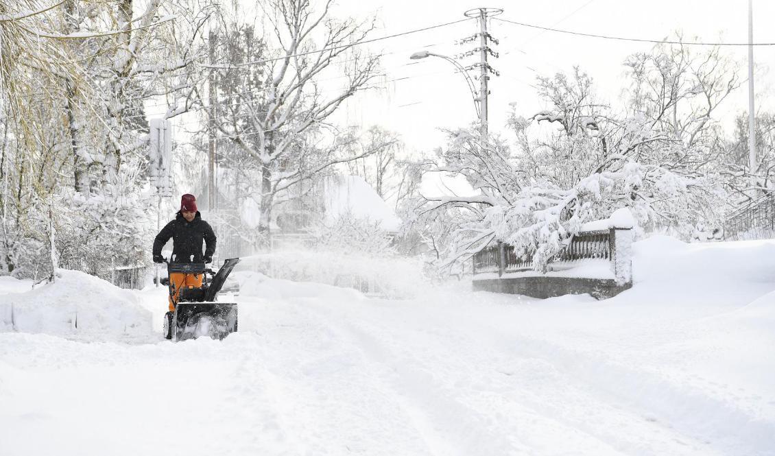 Nu väntas riktigt mycket kompakt och blöt snö i kustområdena i södra Norrland. Foto: Henrik Montgomery/TT-arkivbild