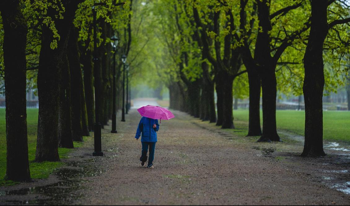 
Det blir ostadigt väder på flera håll i landet. Foto: Stian Lysberg Solum-arkivbild                                                