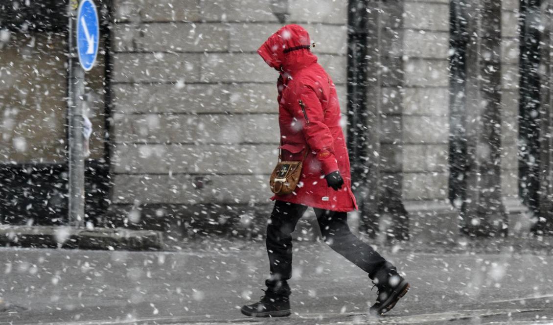 Under helgen kan snö falla i norra Värmland och Dalarna. Foto: Johan Nilsson/TT-arkivbild