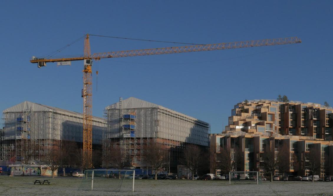 
K0nkurserna inom byggbranschen har ökat. Foto: Bilbo Lantto                                            