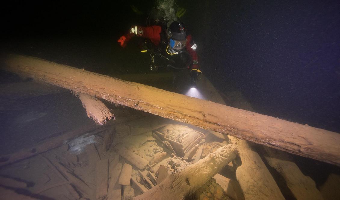 En marinarkeolog undersöker tunnor med osmundjärn på det så kallade Osmundvraket i Stockholms skärgård. Foto: Jim Hansson/Vrak/SMTM