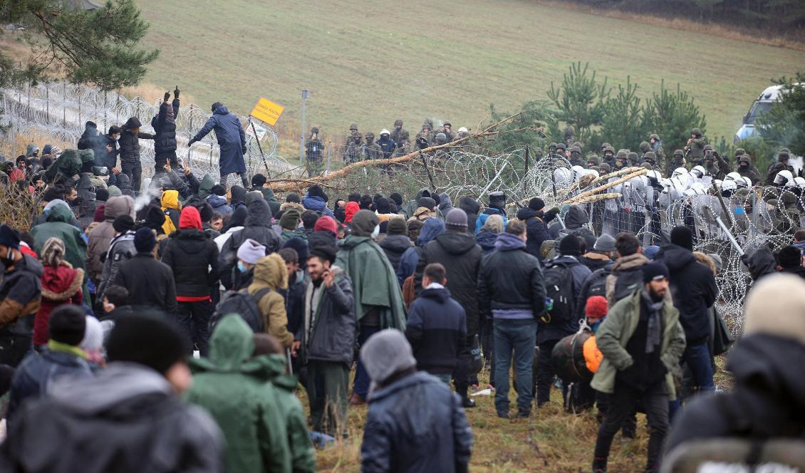 
Migranter vid gränsen mellan Belarus och Polen i Grodnoregionen den 8 november 2021. Hundratals migranter försöker ta sig över gränsen in i EU. Foto: Leonid Shcheglov/BELTA/AFP via Getty Images                                            