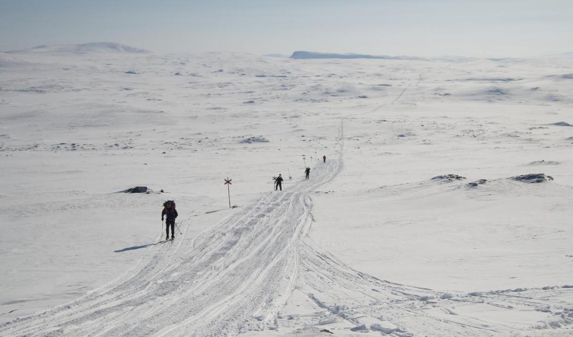 

Skidåkning på fjället är ett sätt att komma ifrån våra vanliga arbetsuppgifter och finna ro och återfå livsenergin. Här nära Helags fjällstation. Foto: Emil Almberg                                                                                        