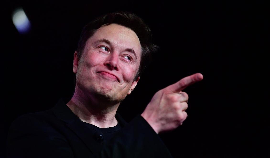 Miljardären och vd:n för Tesla, Elon Musk. Frederic J. Brown/AFP via Getty Images