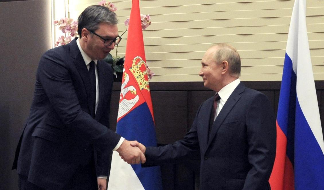 
Den serbiske presidenten Aleksandar Vucic träffar den ryske presidenten Vladimir Putin den 25 november 2021. Foto: Mikhail Klimentyev/Sputnik/AFP via Getty Images                                            