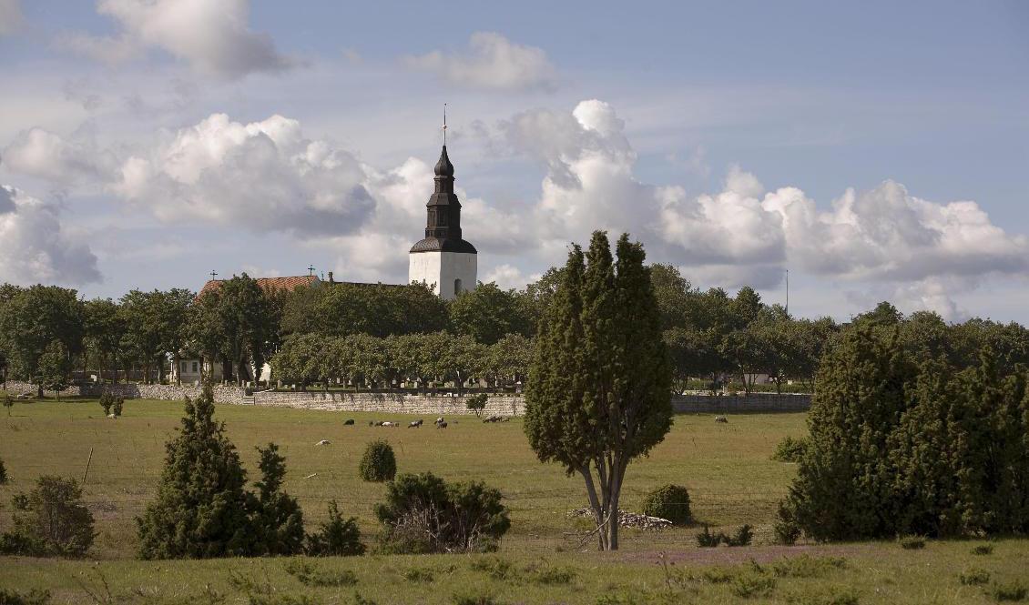 

Fårö kyrka är en av 25 kyrkor på norra Gotland som stängs med omedelbar verkan. Arkivbild. Foto: Sören Andersson/TT                                                                                        