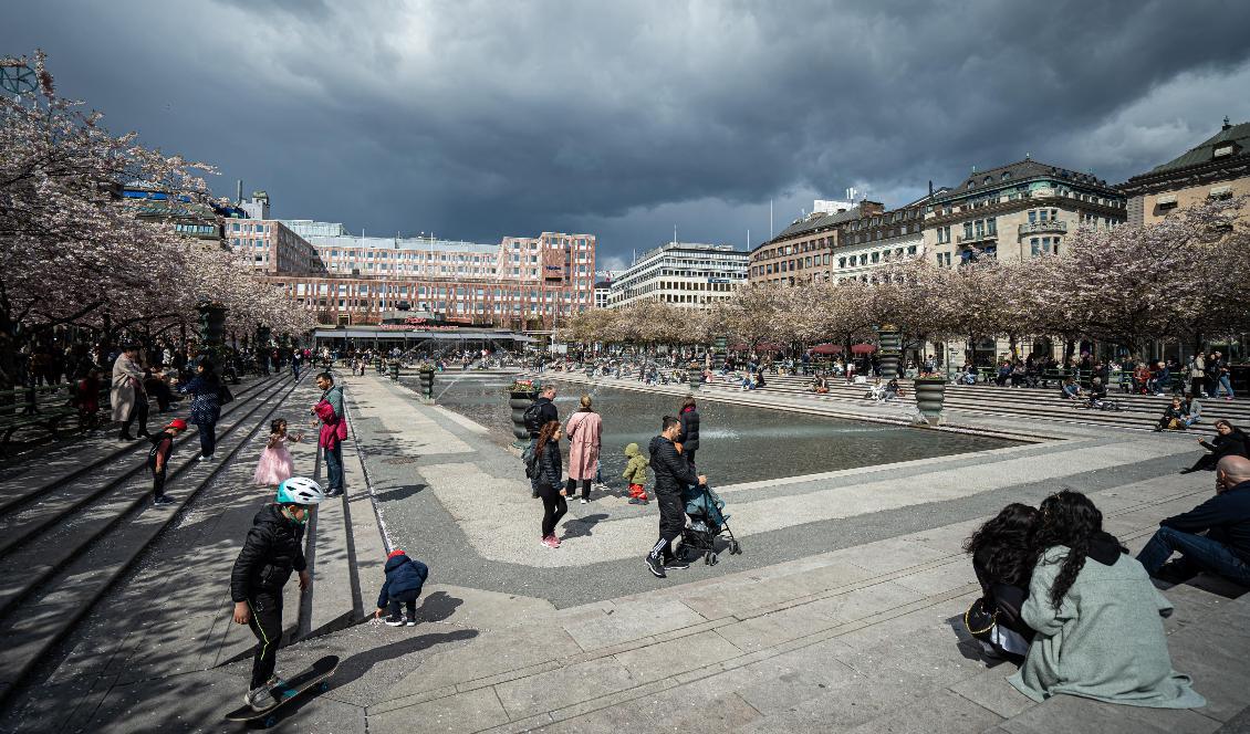 


Kungsträdgården i centrala Stockholm. Foto: Sofia Drevemo. Arkivbild.                                                                                                                                    