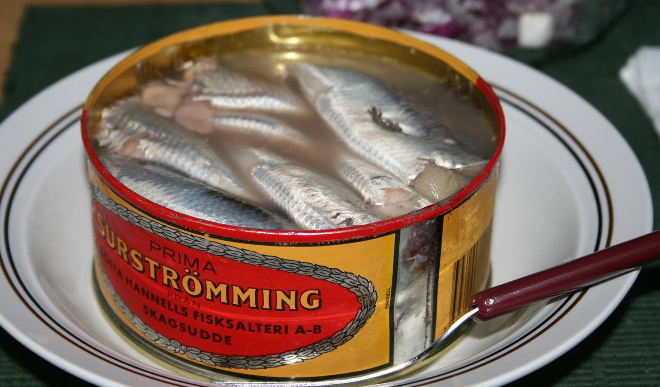 Att strömming används som människoföda i stället för djurfoder är bättre både för fiskens fortsatta överlevnad och för samhällsekonomin.Foto: CC BY 2.0 via Wikimedia Commons