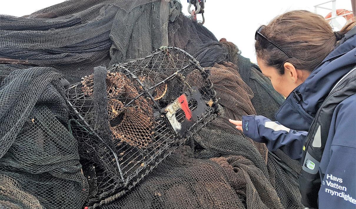 På bilden ses spökgarn som har bärgats från vraket Thetis utanför Smögen. Foto: Frida Åberg/Havs- och vattenmyndigheten