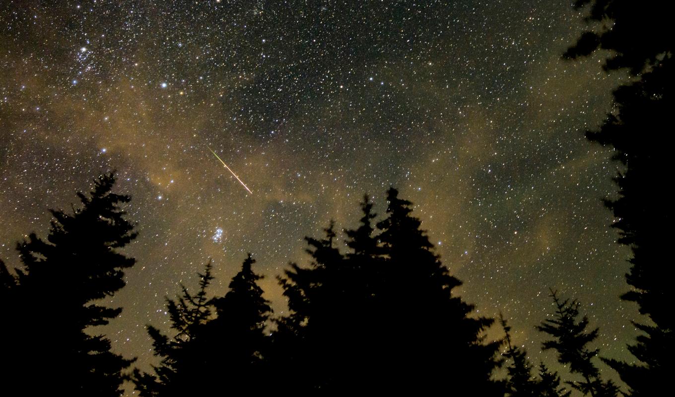 Meteorsvärmen Perseiderna fångad på bild i West Virginia, USA, i augusti 2021. Foto: Bill Ingalls/Nasa via AP/TT