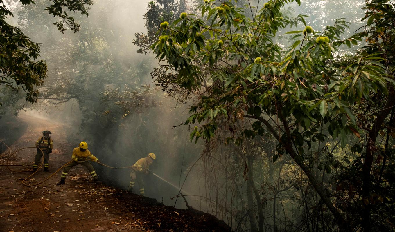 Brandmän arbetar med att släcka branden på Teneriffa. Foto: Arturo Rodriguez/AP/TT