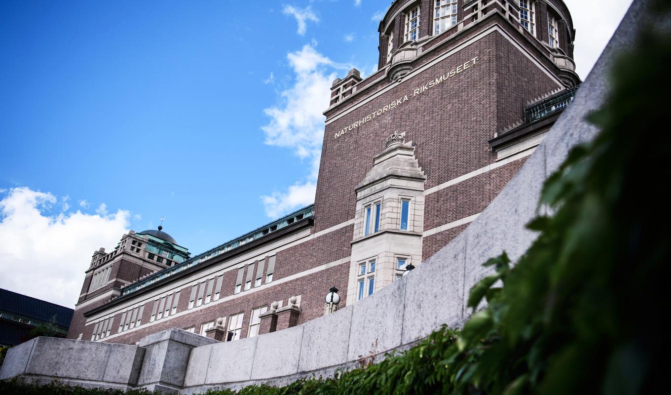 Rasrisk stänger Naturhistoriska i Stockholm. Arkivbild. Foto: Erik Simander/TT