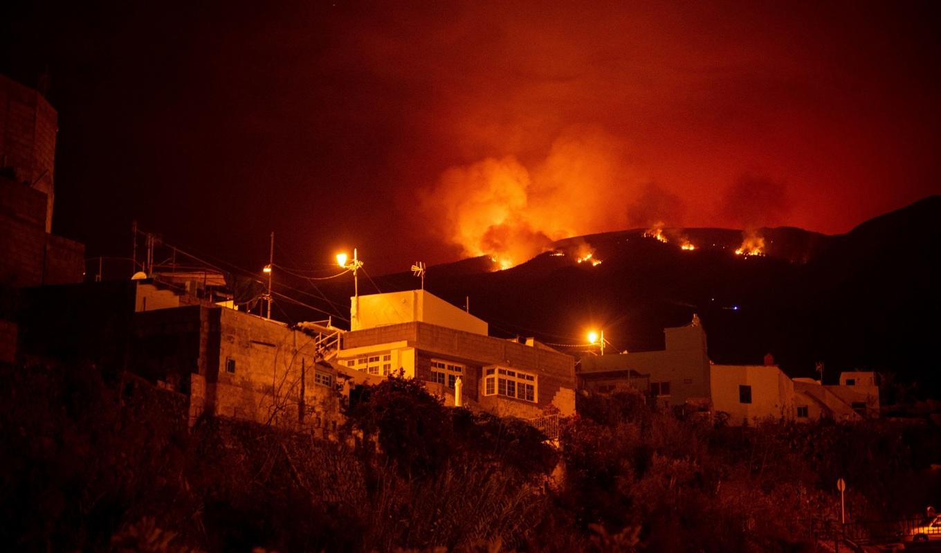 Brand på Teneriffa den 19 augusti. Foto: Desiree Martin/AFP via Getty Images